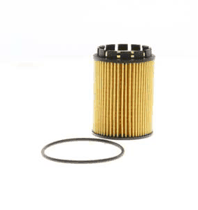 Oil Filter (AZMT-41-040-1088)