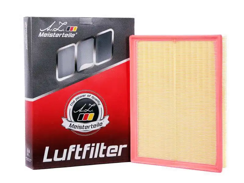 Air Filter (AZMT-41-030-1494)