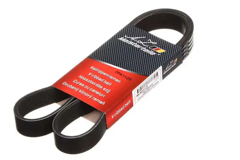 V-Ribbed Belt (AZMT-20-033-1783)