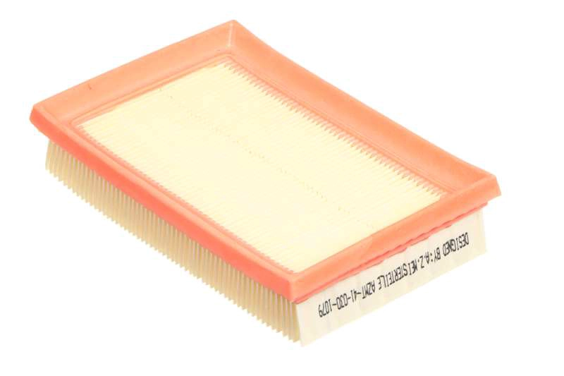 Air Filter (AZMT-41-030-1079)