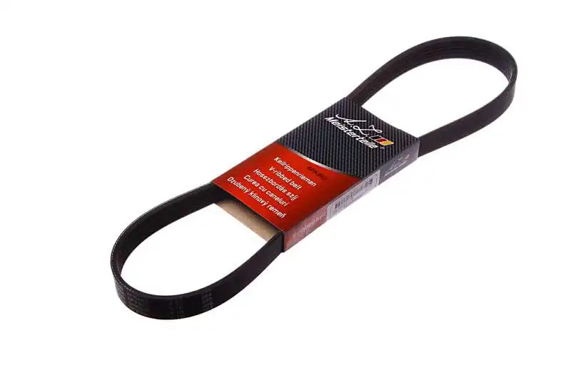 V-Ribbed Belt (AZMT-20-033-1448)