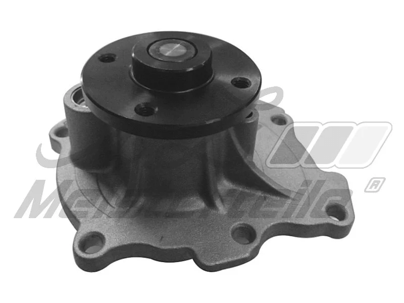Water Pump, engine cooling (AZMT-30-100-1541)