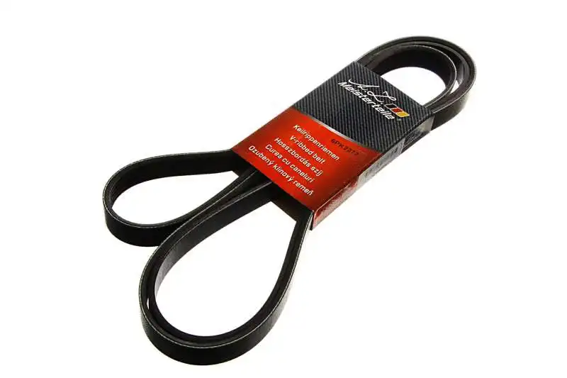 V-Ribbed Belt (AZMT-20-033-1731)