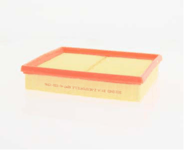 Air Filter (AZMT-41-030-1596)