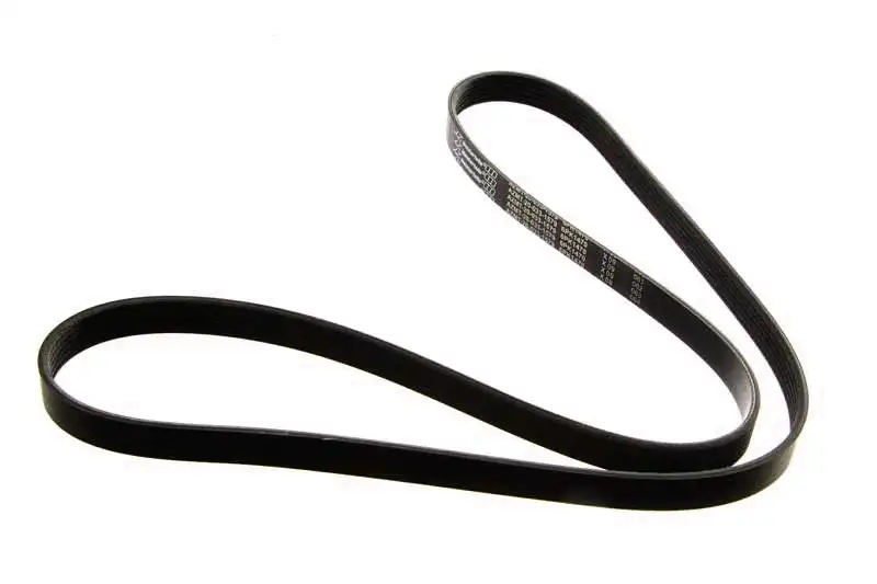 V-Ribbed Belt (AZMT-20-033-1579)