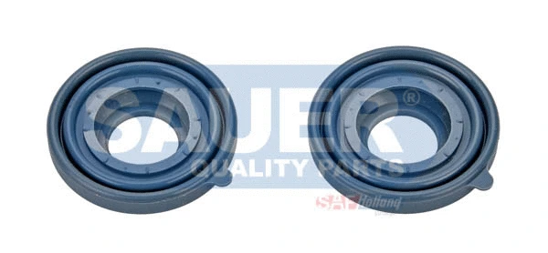 Repair Kit, brake caliper (S4340381900)