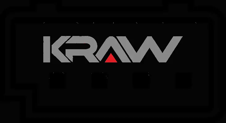 Switch, window regulator