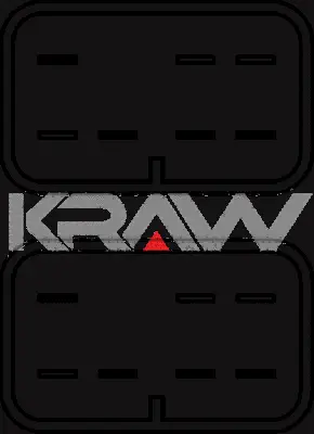 Switch, window regulator (AN-308)