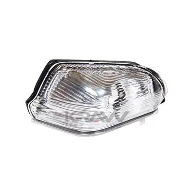 Direction Indicator (BRN 0923)