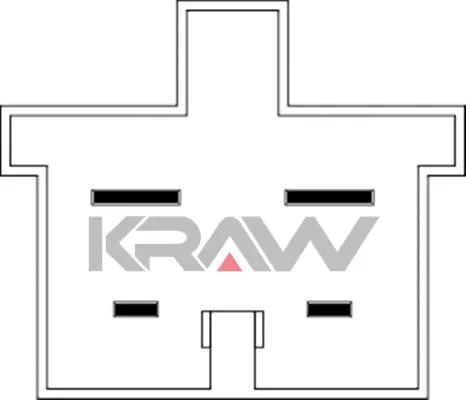 Stop Light Switch (AN-2921)