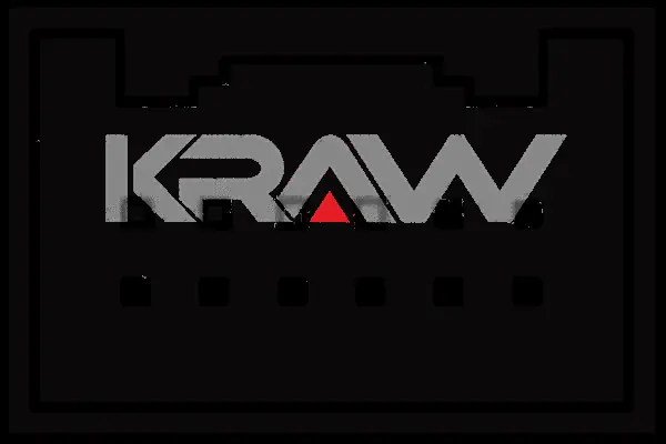 Switch, window regulator