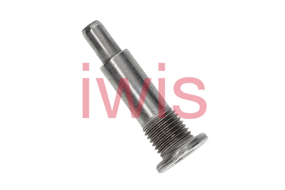Sliding Rail Bolts, timing chain (60249)