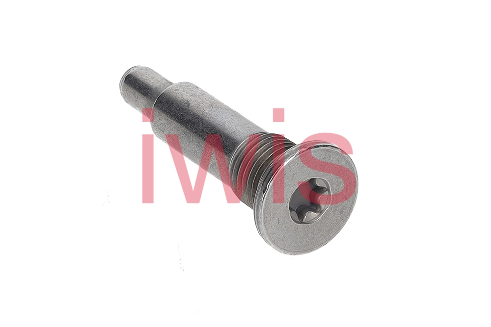 Sliding Rail Bolts, timing chain