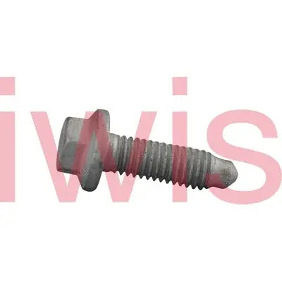 Screw (60203)