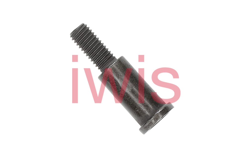 Sliding Rail Bolts, timing chain (60817)