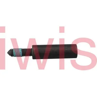 Sliding Rail Bolts, timing chain (59416)