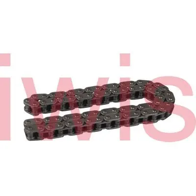 Timing Chain (59171)