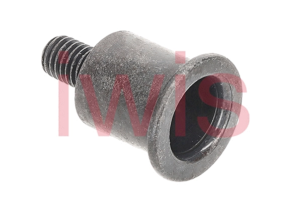 Sliding Rail Bolts, timing chain (59669)