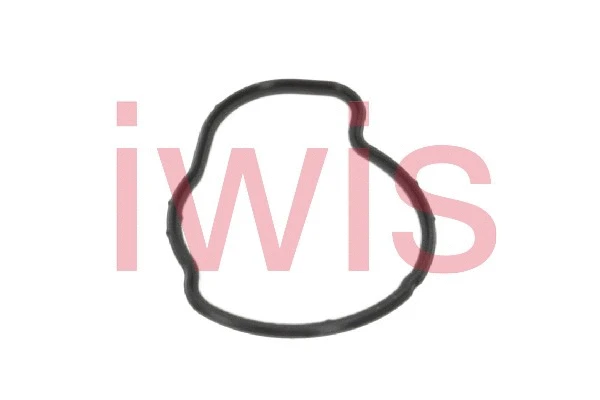 Seal, thermostat (70030)