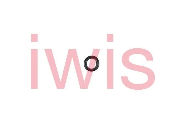 Seal Ring, timing chain tensioner (59320)