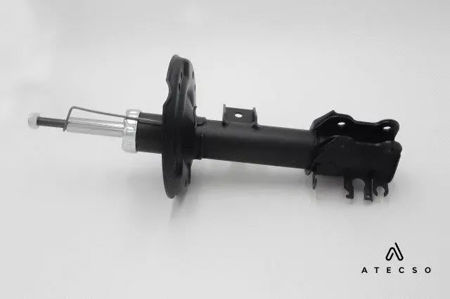 Shock Absorber (AMT00110)