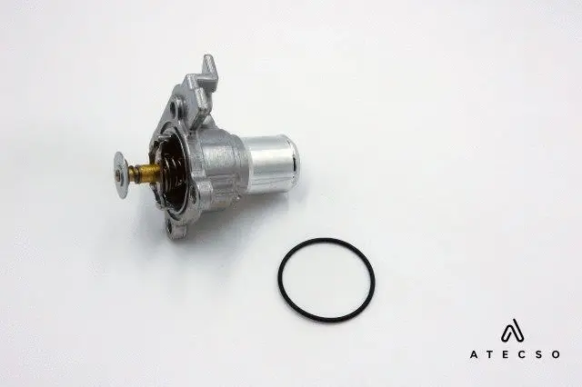 Gasket, thermostat housing (TRM00163)