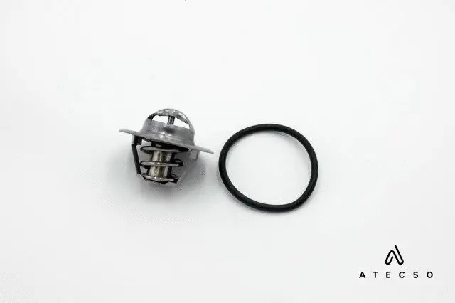 Thermostat, coolant (TRM00140)