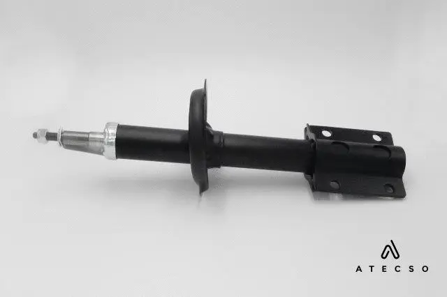 Shock Absorber (AMT00160)