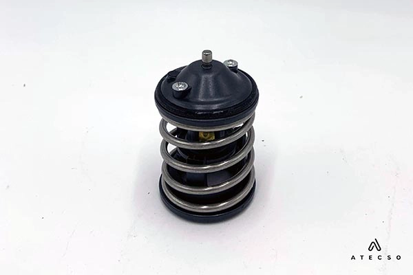 Thermostat, coolant (TRM00234)
