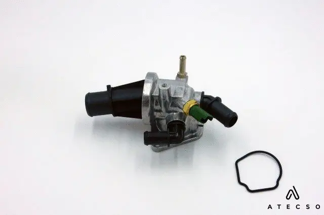 Gasket, thermostat housing (TRM00120)