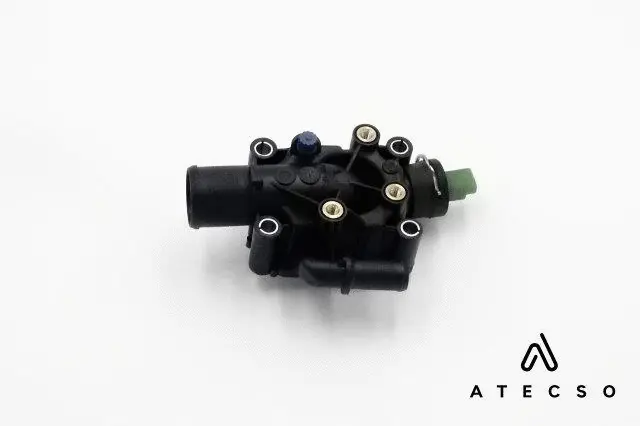 Gasket, thermostat housing (TRM00109)