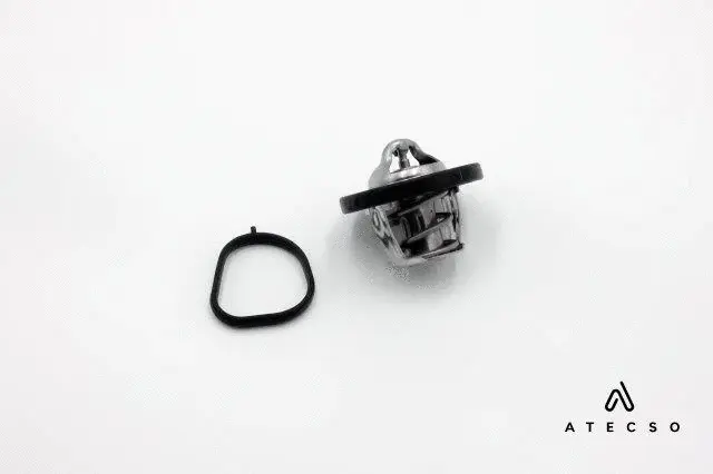 Thermostat, coolant (TRM00122)