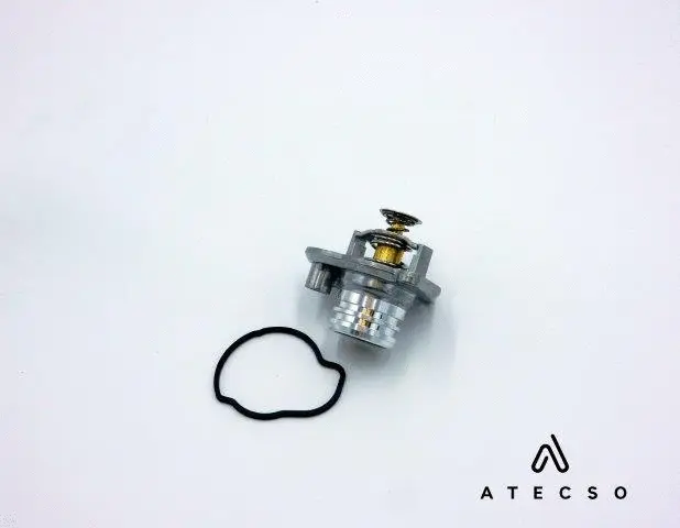 Thermostat, coolant (TRM00130)