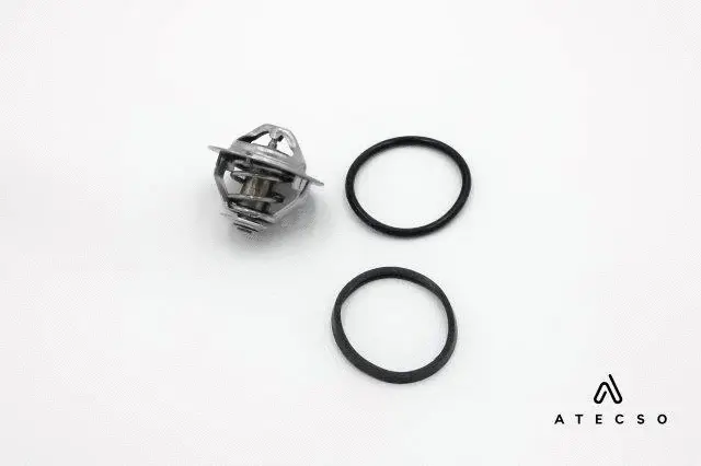 Thermostat, coolant (TRM00169)