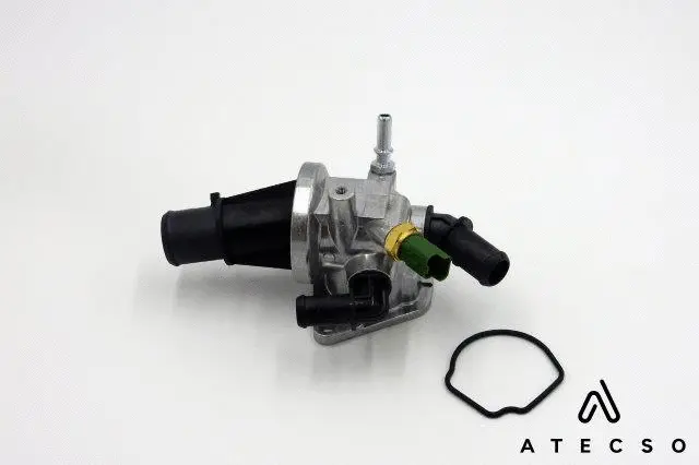Gasket, thermostat housing (TRM00105)