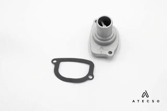 Gasket, thermostat housing (TRM00172)
