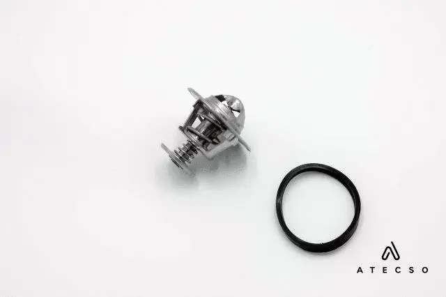 Thermostat, coolant (TRM00128)