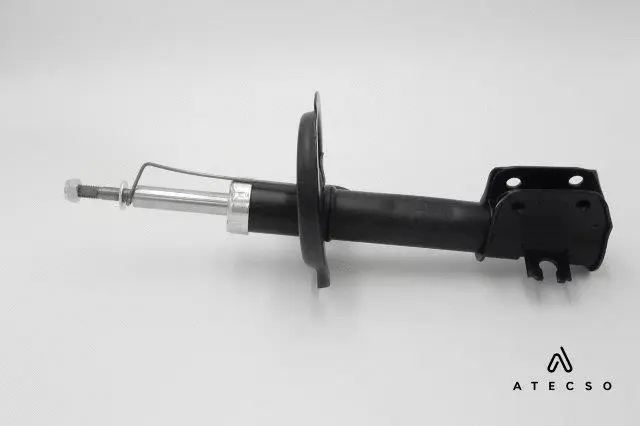 Shock Absorber (AMT00107)