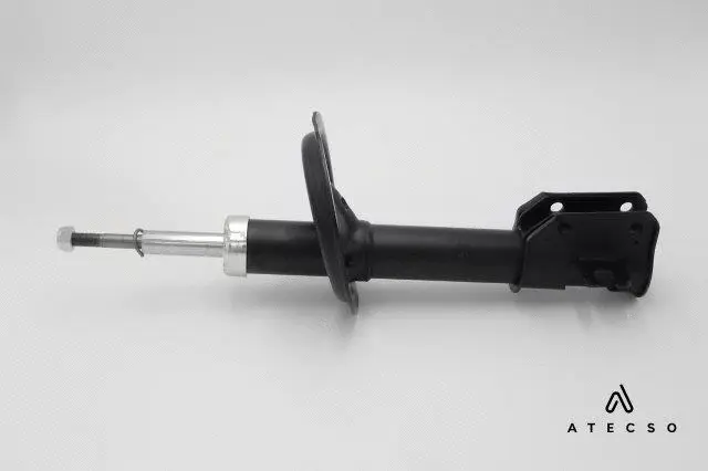 Shock Absorber (AMT00106)