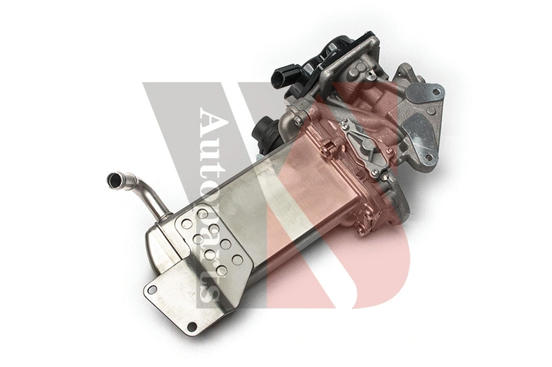 EGR Valve (EGRE187)