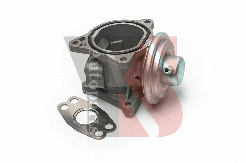EGR Valve (EGRA080)