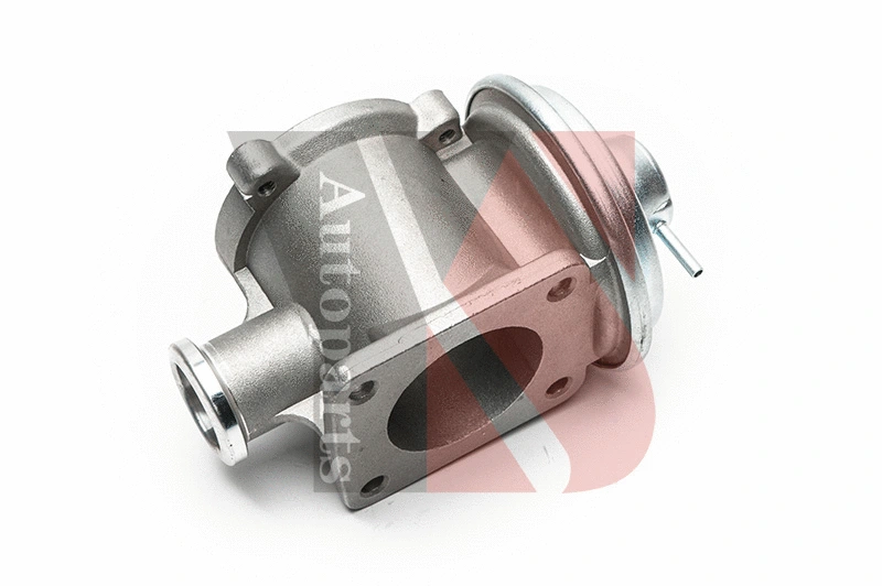 EGR Valve (EGRA124)