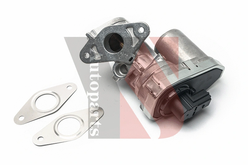 EGR Valve (EGRA088)
