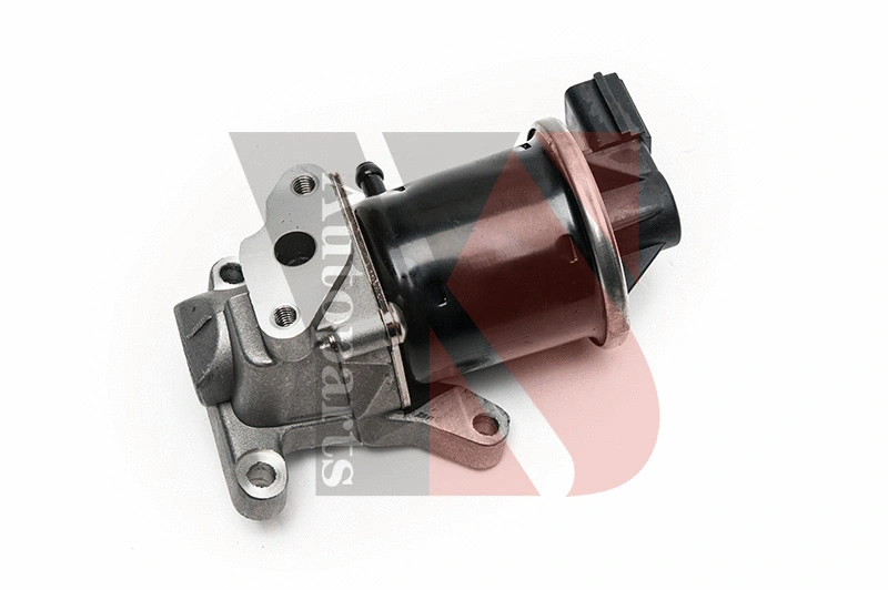 EGR Valve (EGRA136)
