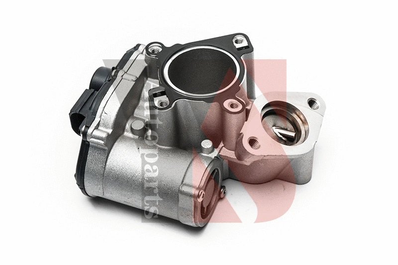 EGR Valve (EGRA131)
