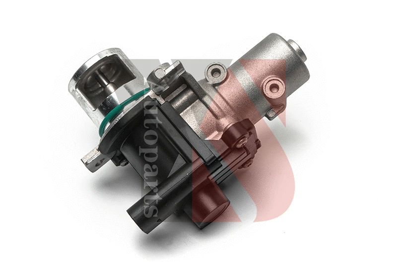 EGR Valve (EGRA114)