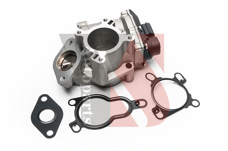 EGR Valve (EGRA095)