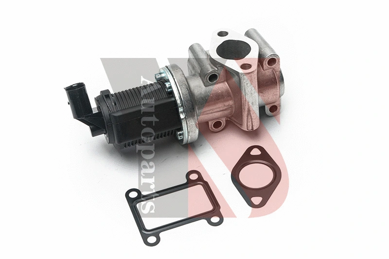 EGR Valve (EGRA013)
