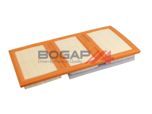 Air Filter (C8111113)
