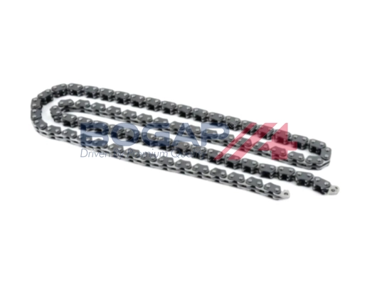 Timing Chain (C1310103)